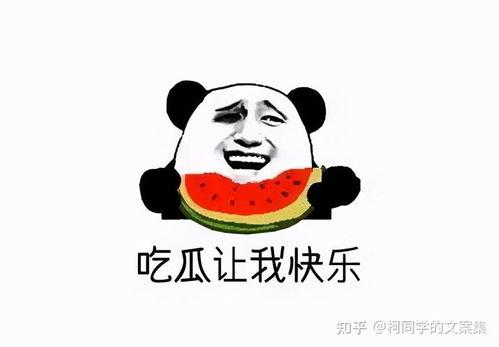 吃瓜看剧的文案搞笑,笑料连连，解锁欢乐无限